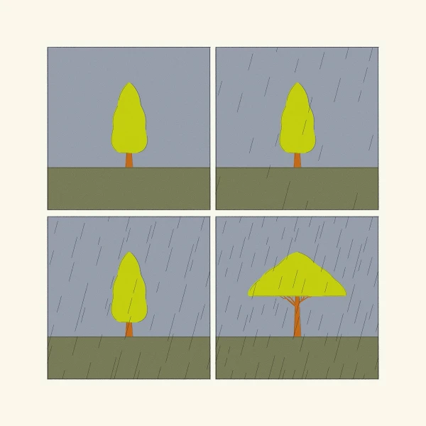 Panels of a tree and in each panel it rains harder and the tree unfurls like an umbrella