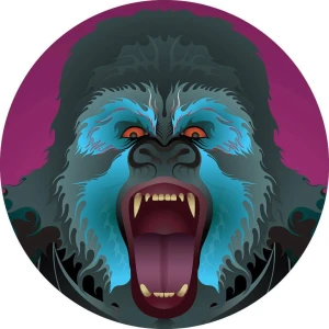 Illustration of a roaring gorilla. Illustration by Anthony Robinson, Nature, 