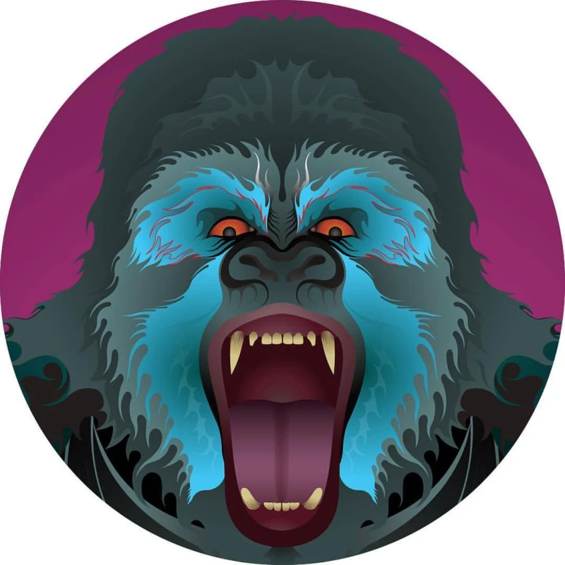 Illustration of a roaring gorilla. Illustration by Anthony Robinson, Nature, 