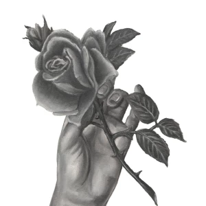 Black and white illustration of a hand holding a rose. Illustration by Connie Resch, Nature, 