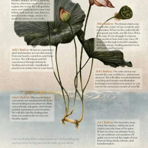 Botanical rendering of the lotus flower, from petals to root. Illustration by Connie Resch, Nature, 