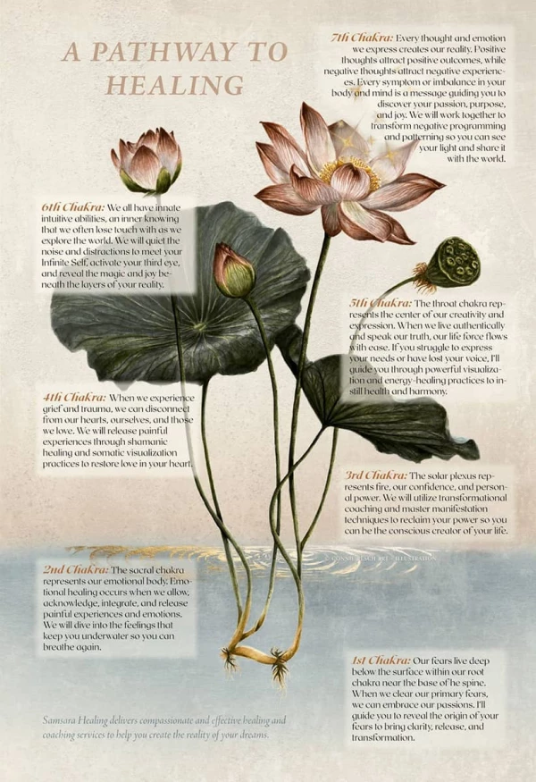 Botanical rendering of the lotus flower, from petals to root