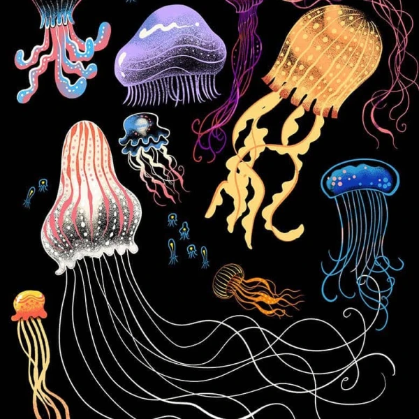 Illustration of various, multicolored jellyfish