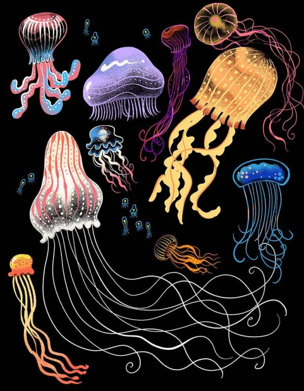 Illustration of various, multicolored jellyfish