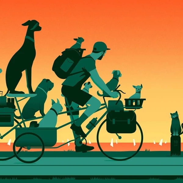 Graphic illustration of a man riding a bike with many cats and dogs, looking at a cat on the side of the road