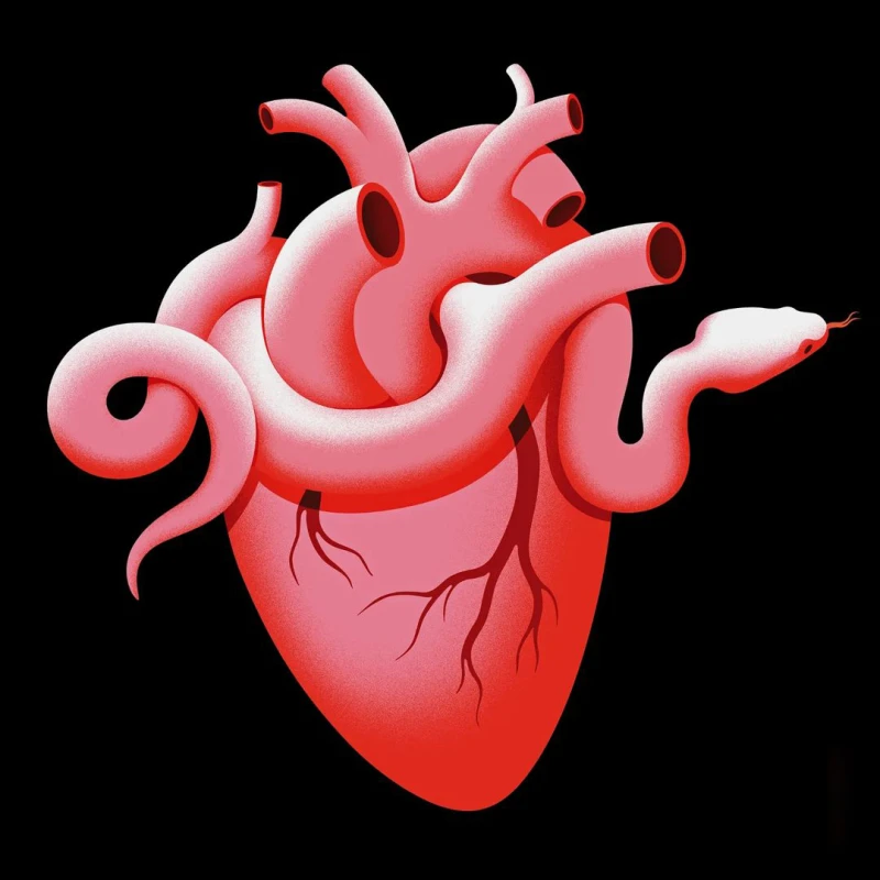 Illustration of a heart and a snake entwined in the aorta. Illustration by Joey Guidone, Conceptual, 