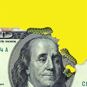 Closeup of a $100 and Ben Franklin looks worried as 3 catepillars are eating the bill.. Illustration by Jon Berkeley, Conceptual, Business, 