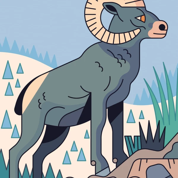 Graphic illustration of a bighorn sheep looking into the distance